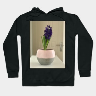 Fragrant purple home hyacinth vase Hoodie